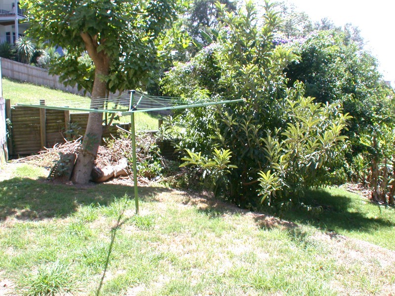 Terrigal NSW 2260