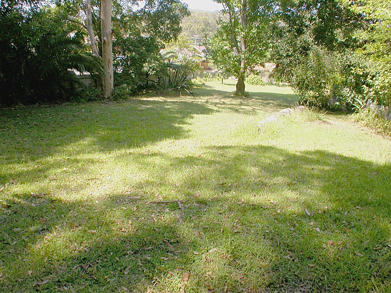 Terrigal NSW 2260