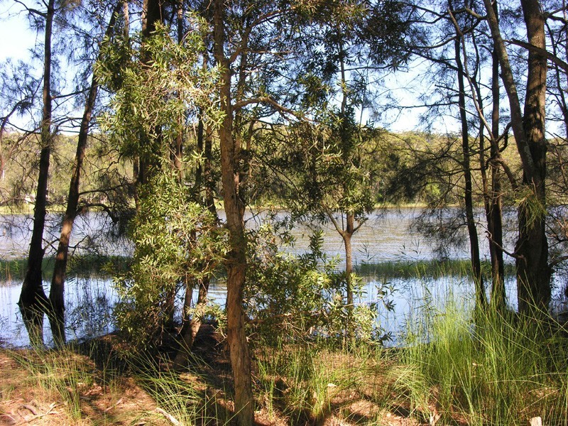 North Avoca NSW 2260
