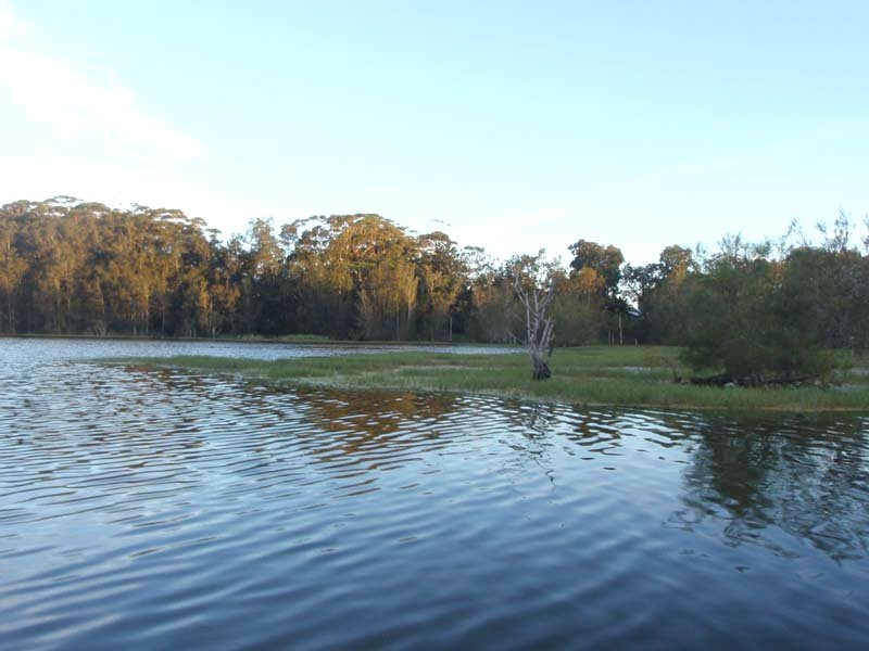 North Avoca NSW 2260