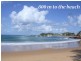 Terrigal NSW 2260