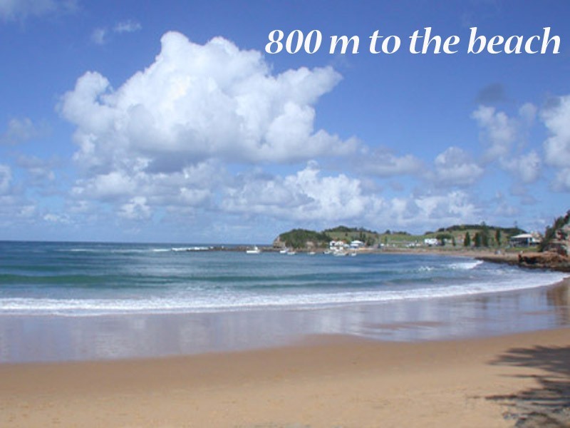 Terrigal NSW 2260