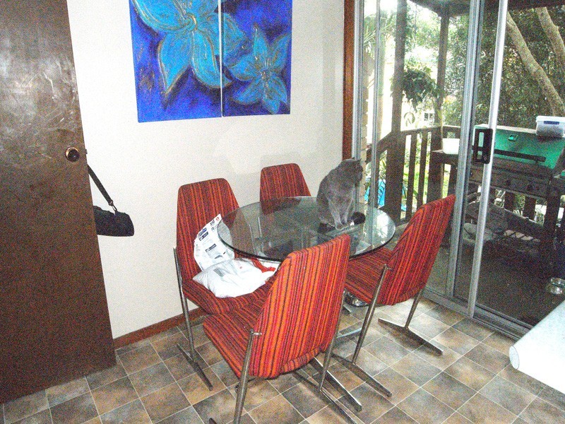 55 Old Gosford Road, Wamberal NSW 2260