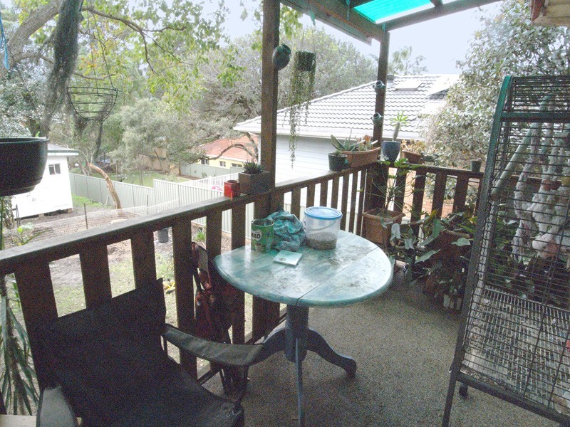 55 Old Gosford Road, Wamberal NSW 2260