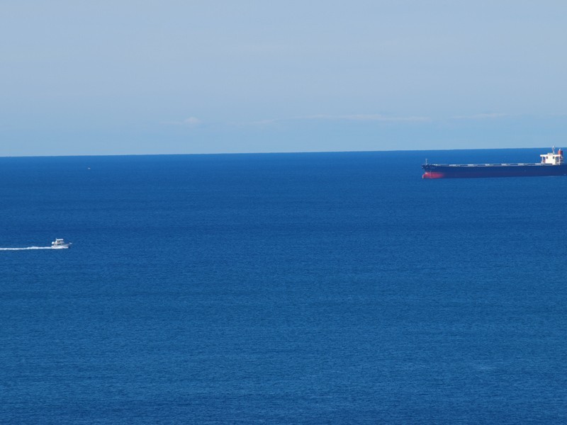 North Avoca NSW 2260