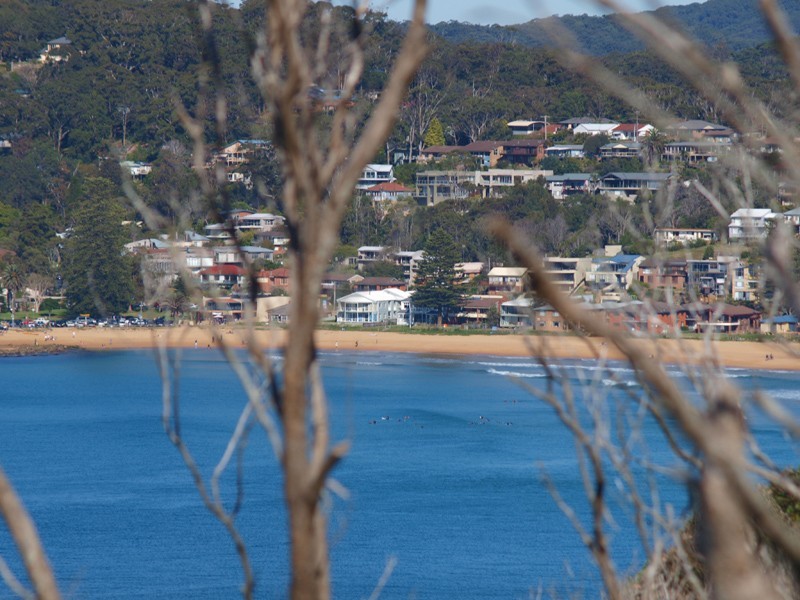 North Avoca NSW 2260