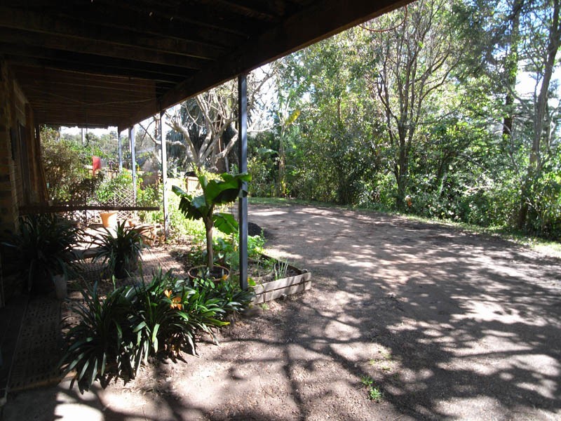 Wamberal NSW 2260