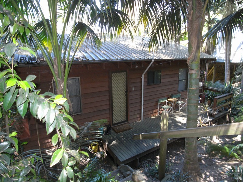 North Avoca NSW 2260