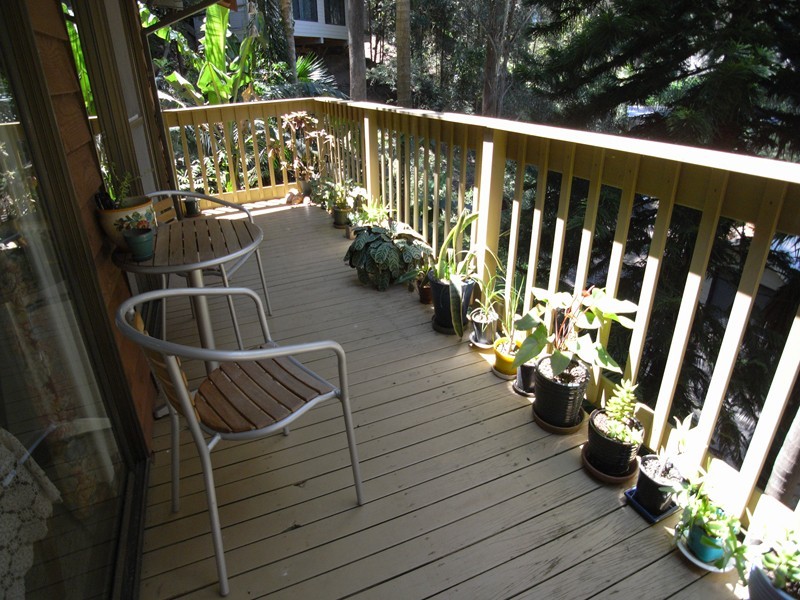 North Avoca NSW 2260