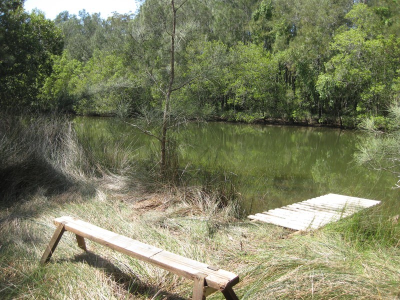 Springfield NSW 2250
