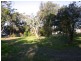 Wamberal NSW 2260