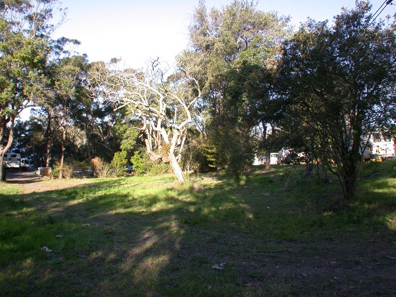 Wamberal NSW 2260
