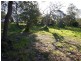 Wamberal NSW 2260