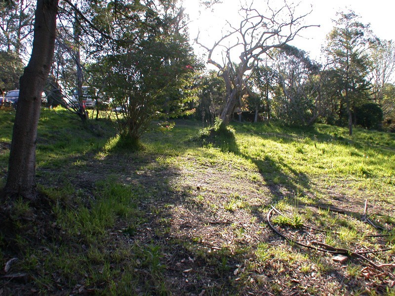 Wamberal NSW 2260
