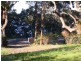 Wamberal NSW 2260