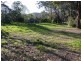 Wamberal NSW 2260