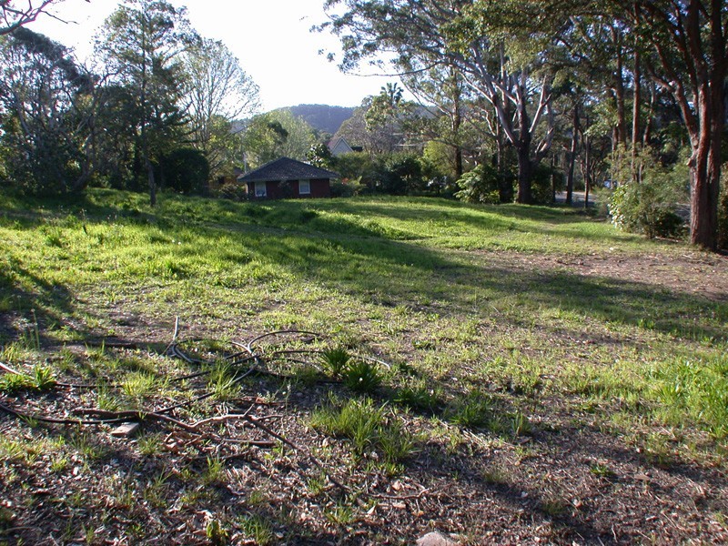 Wamberal NSW 2260