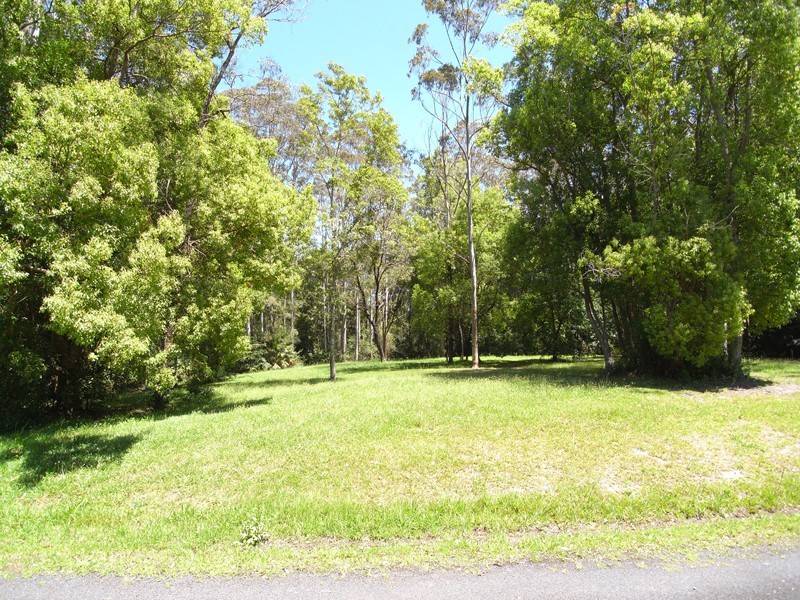 202 Wattle Tree Road, Holgate NSW 2250