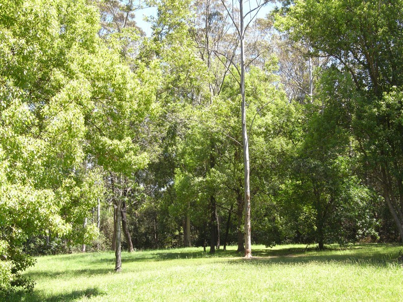 202 Wattle Tree Road, Holgate NSW 2250