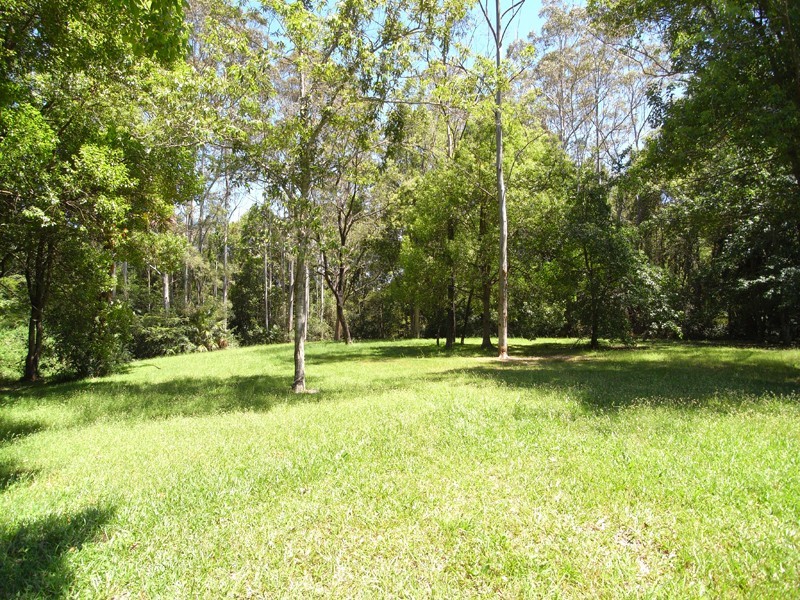 202 Wattle Tree Road, Holgate NSW 2250