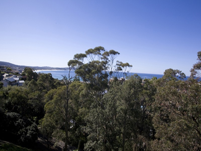 113 Scenic Highway, Terrigal NSW 2260