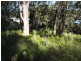 16 Bridgewater Place, Terrigal NSW 2260