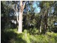 16 Bridgewater Place, Terrigal NSW 2260