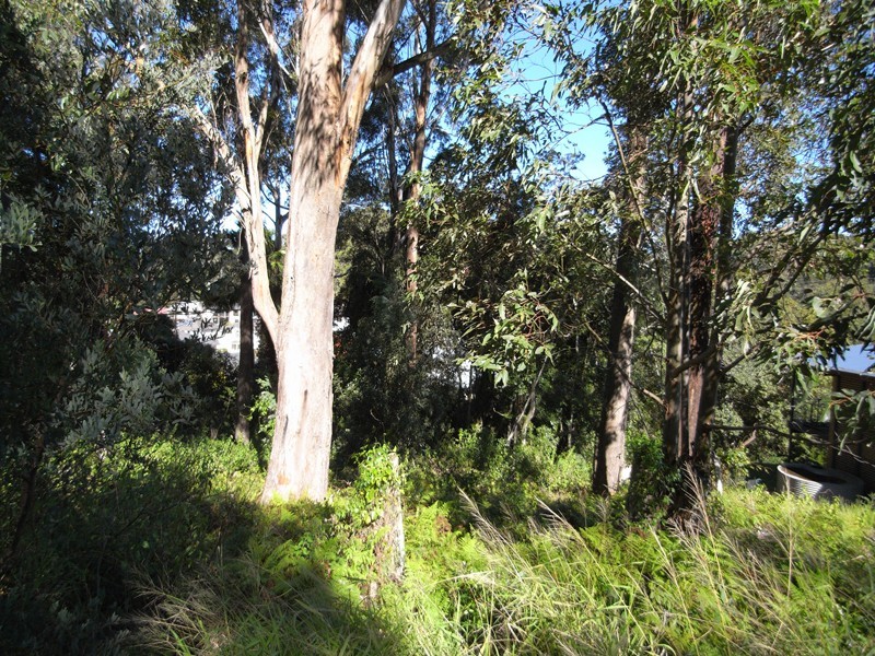 16 Bridgewater Place, Terrigal NSW 2260