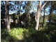 16 Bridgewater Place, Terrigal NSW 2260
