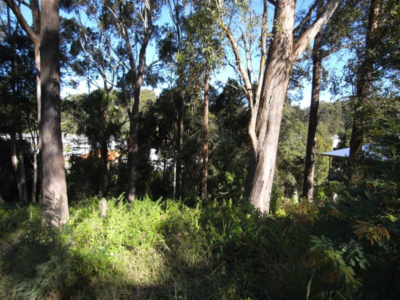 16 Bridgewater Place, Terrigal NSW 2260