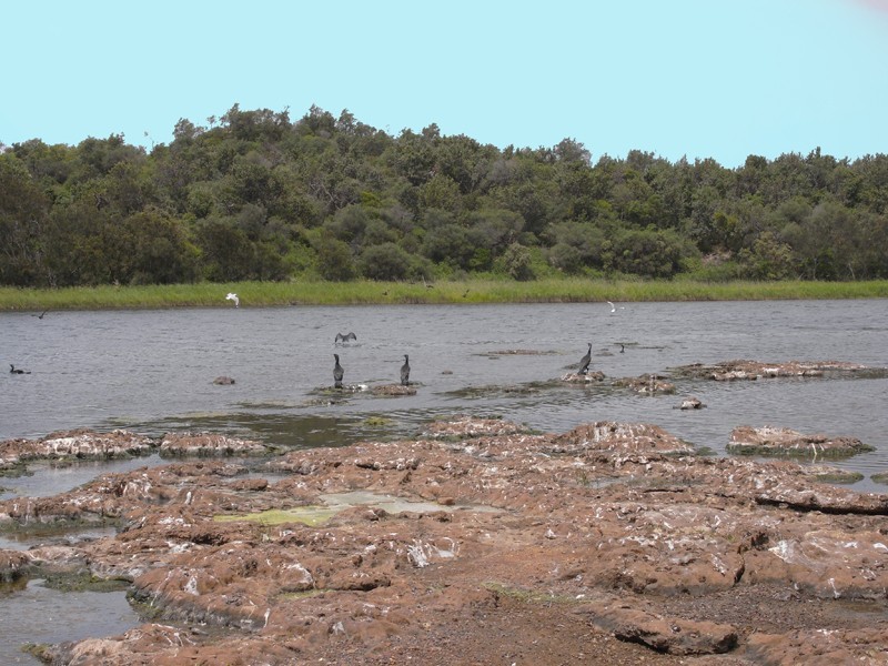 112/144 Ocean View Dr, Wamberal NSW 2260