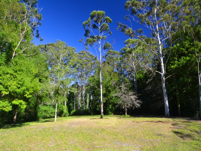 1/202 Wattle Tree Rd, Holgate NSW 2250