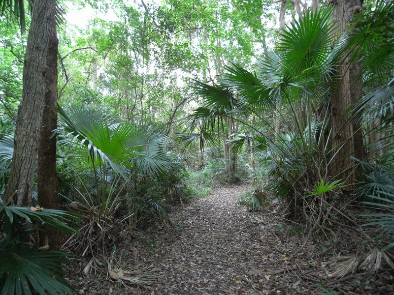 1/202 Wattle Tree Rd, Holgate NSW 2250