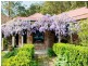 37 Murina Close, Holgate NSW 2250