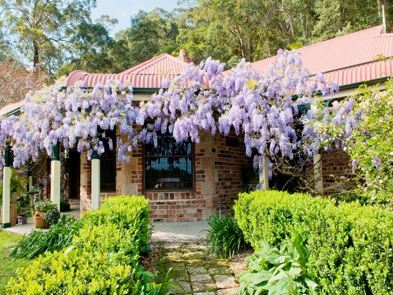 37 Murina Close, Holgate NSW 2250