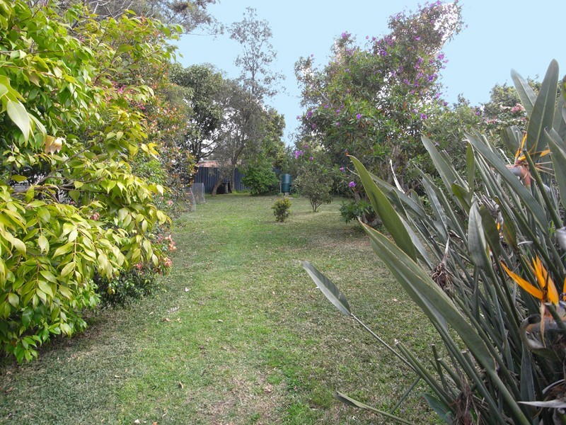 41 Willoughby Rd, Terrigal NSW 2260