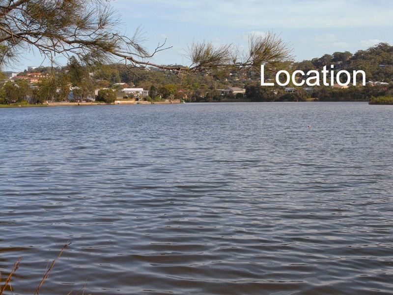 45 Lumeah Ave, Wamberal NSW 2260