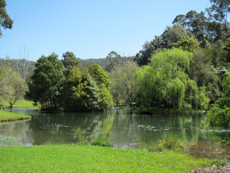 Avalon- Address on Enquiry, Avoca Beach NSW 2251