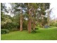 48 Toorak Ave, Erina NSW 2250