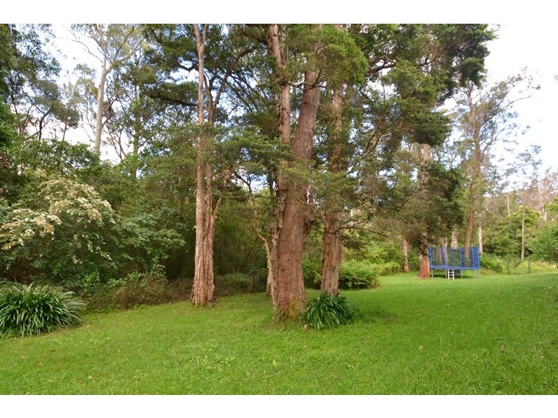 48 Toorak Ave, Erina NSW 2250