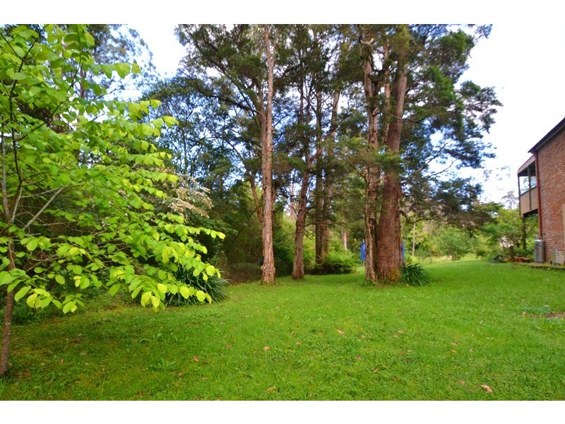 48 Toorak Ave, Erina NSW 2250