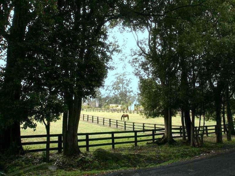 98 Chetwynd Road, Erina NSW 2250