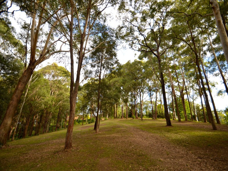 98A Beaufort Road, Terrigal NSW 2260