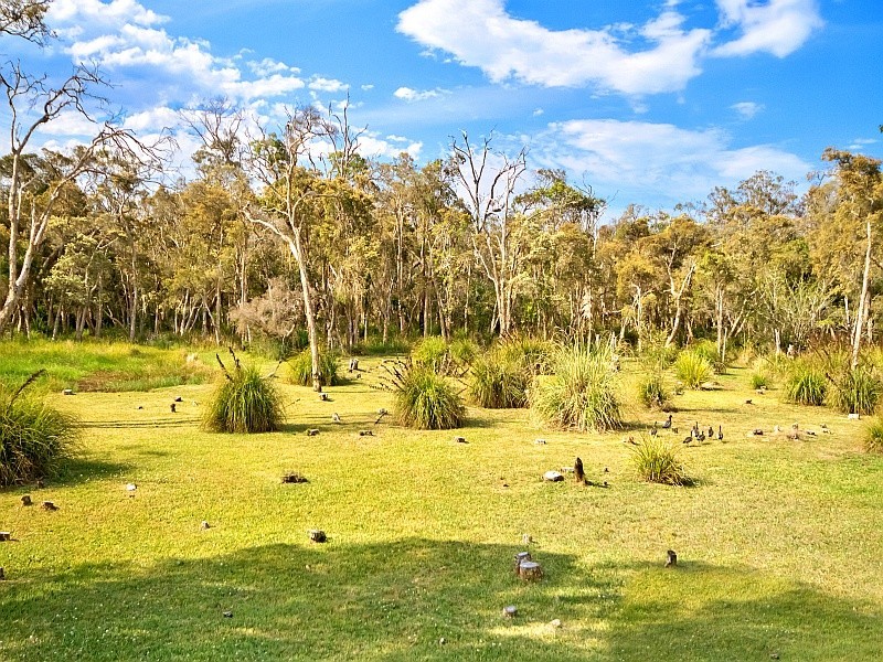 5 Kyte Place, Tumbi Umbi NSW 2261