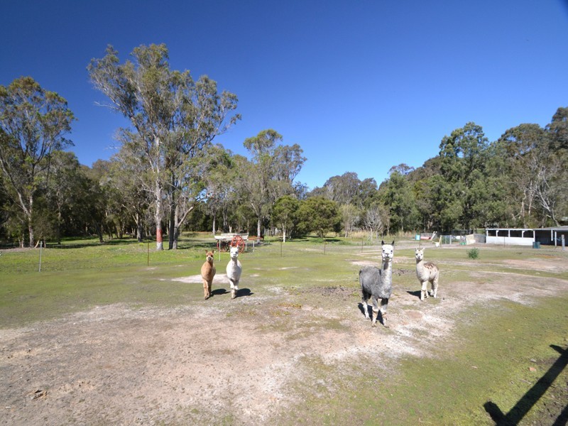 466 Tumbi Rd, Wamberal NSW 2260