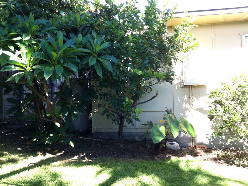 2/36B Noorong Avenue, Forresters Beach NSW 2260