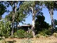 Wamberal NSW 2260