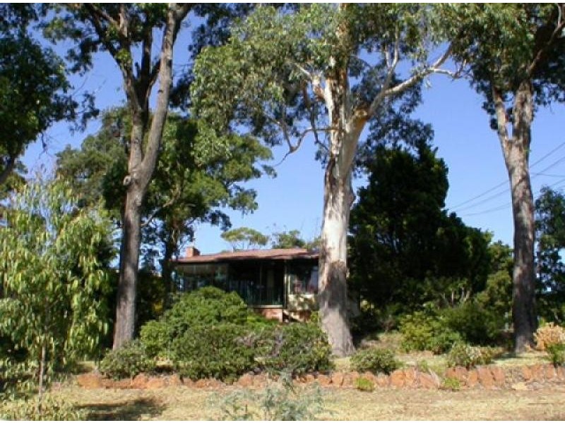 Wamberal NSW 2260
