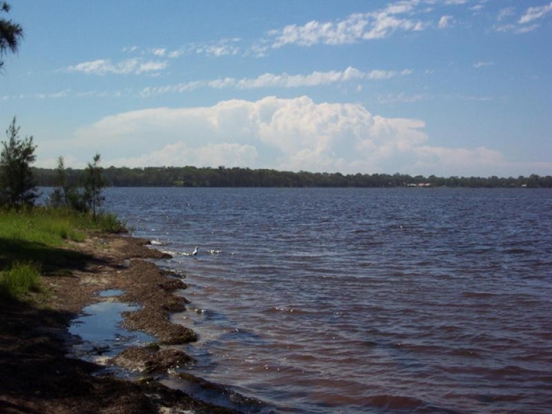 Toukley NSW 2263