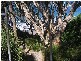 Noraville NSW 2263